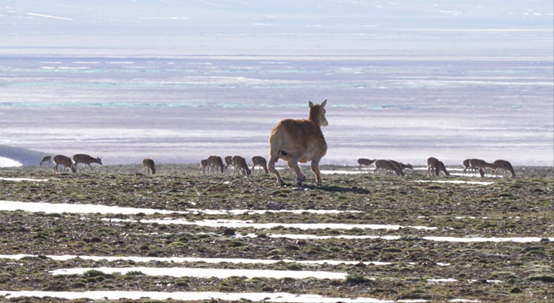 1765263123161428.png 1765263123161428.png